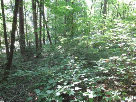 00 Gauley Falls Road Pickens SC 29671