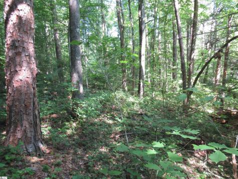 00 Gauley Falls Road Pickens SC 29671