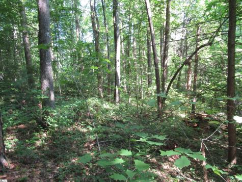 00 Gauley Falls Road Pickens SC 29671