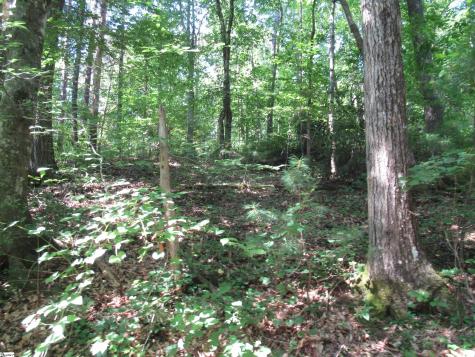 00 Gauley Falls Road Pickens SC 29671