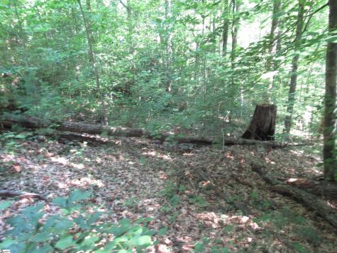 00 Gauley Falls Road Pickens SC 29671