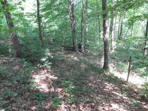 00 Gauley Falls Road Pickens SC 29671