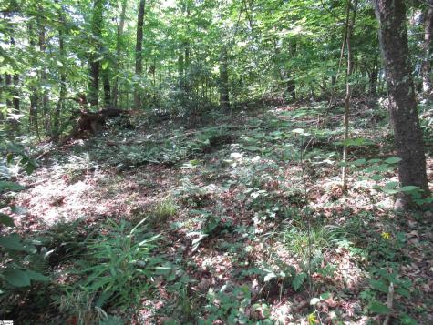 00 Gauley Falls Road Pickens SC 29671