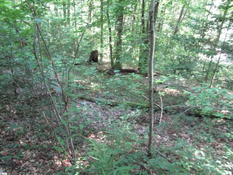 00 Gauley Falls Road Pickens SC 29671