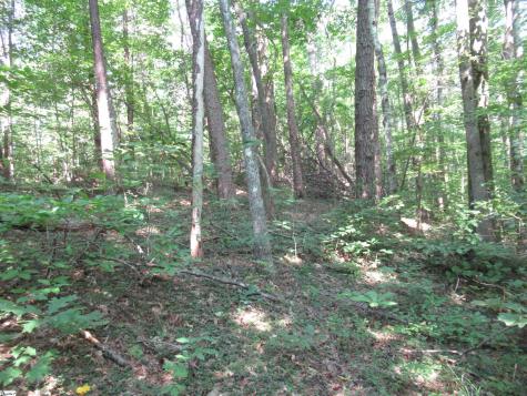 00 Gauley Falls Road Pickens SC 29671