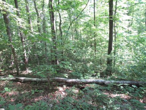00 Gauley Falls Road Pickens SC 29671