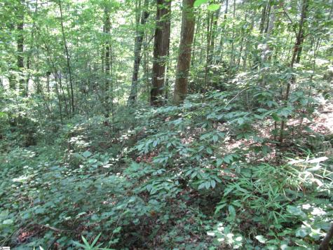 00 Gauley Falls Road Pickens SC 29671