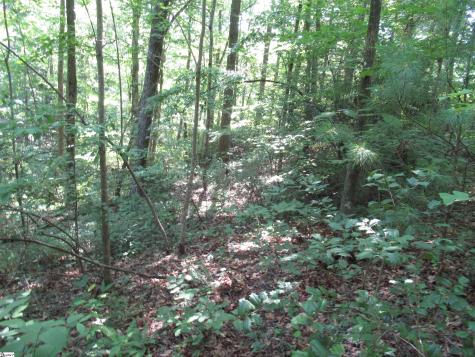 00 Gauley Falls Road Pickens SC 29671