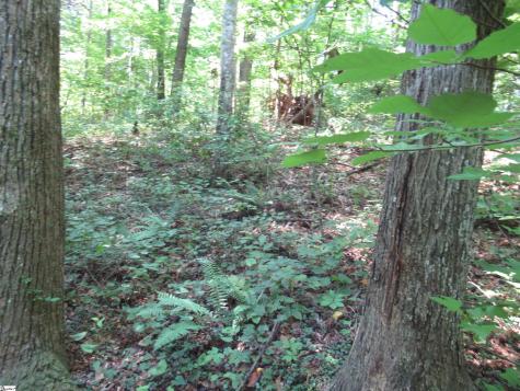 00 Gauley Falls Road Pickens SC 29671