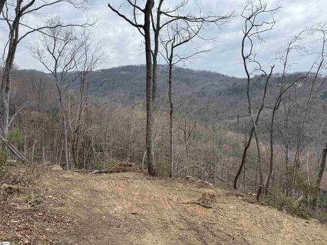 1328 Panther Park Trail Travelers Rest SC 29690