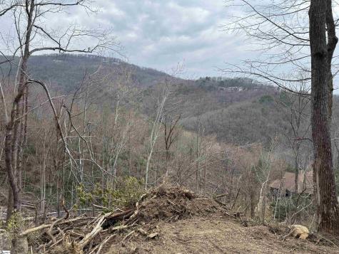 1328 Panther Park Trail Travelers Rest SC 29690