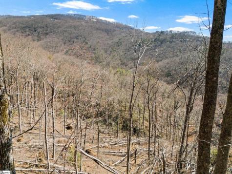 1328 Panther Park Trail Travelers Rest SC 29690