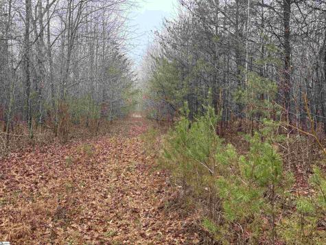 4024 Hwy 414 (Acreage, Not House) Landrum SC 29356