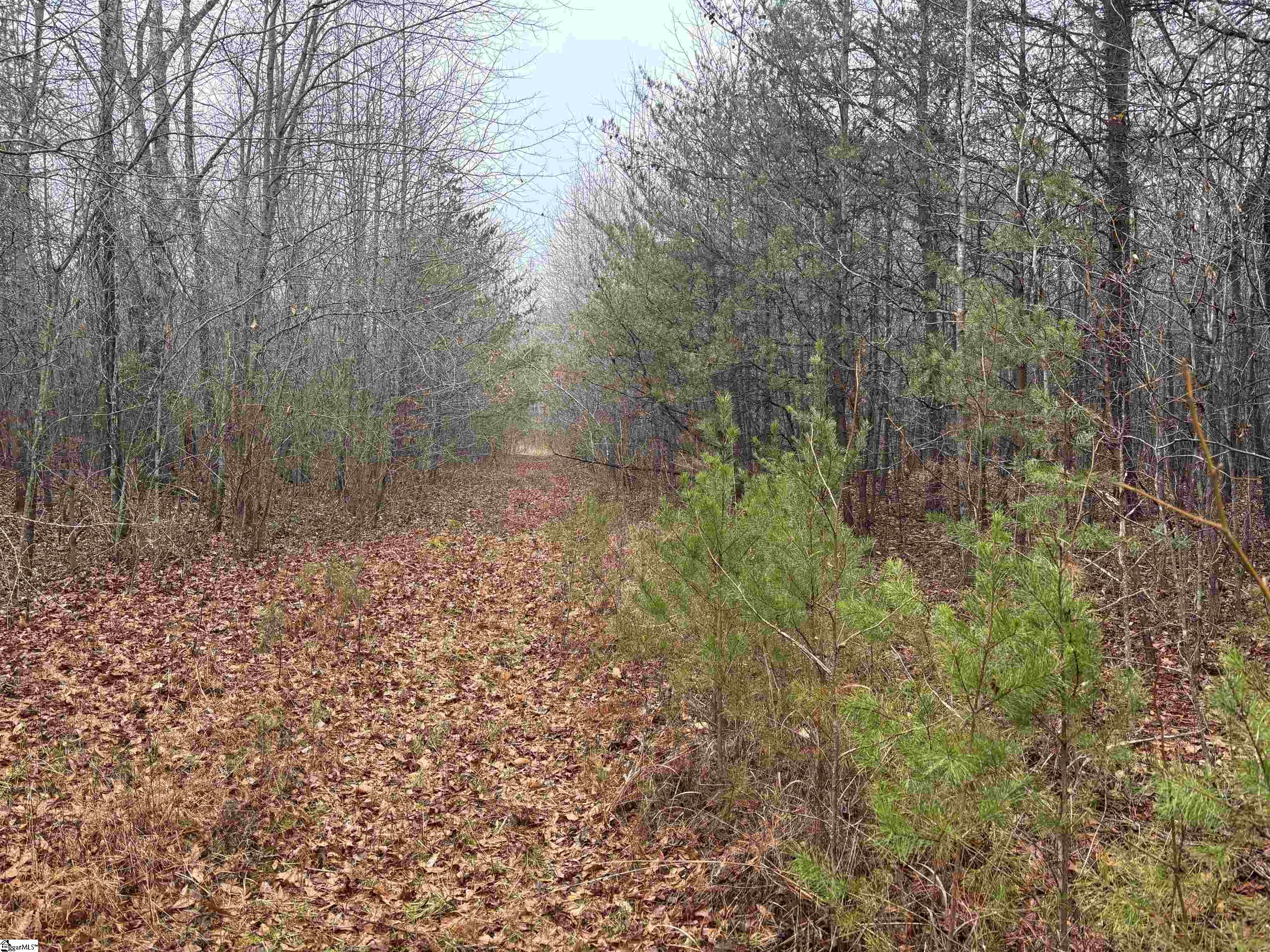 4024 Hwy 414 (Acreage, Not House) Landrum SC 29356
