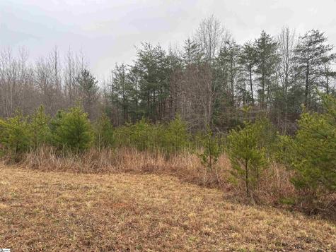 4024 Hwy 414 (Acreage, Not House) Landrum SC 29356