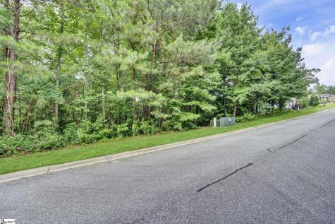 208 Wedge Way Travelers Rest SC 29690
