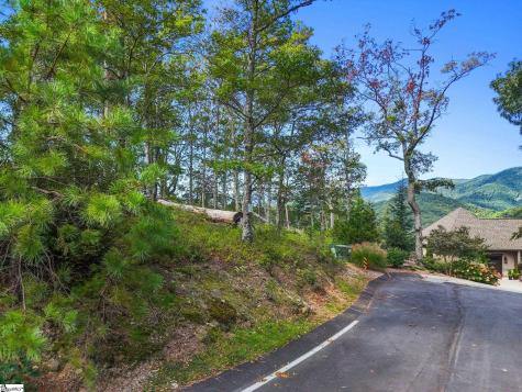 121 Upper Ridge Way Travelers Rest SC 29690