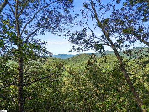 121 Upper Ridge Way Travelers Rest SC 29690