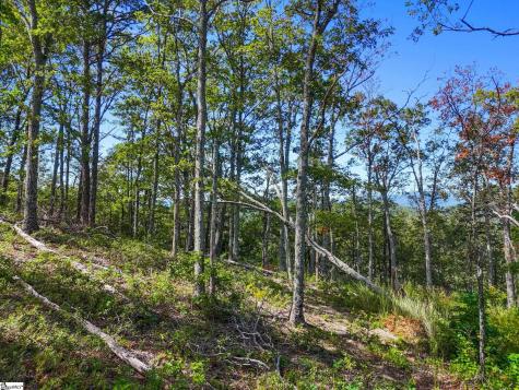 121 Upper Ridge Way Travelers Rest SC 29690
