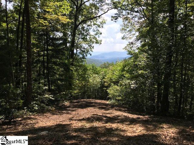 1335 Panther Park Trail Travelers Rest SC 29690