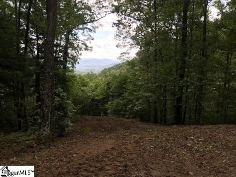 1335 Panther Park Trail Travelers Rest SC 29690