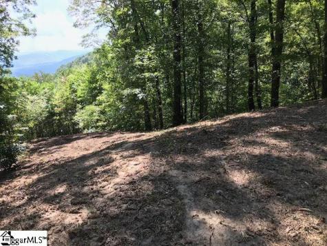 1335 Panther Park Trail Travelers Rest SC 29690