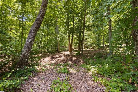 409 S Buckhorn Road Greenville SC 29609