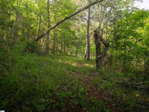 149 April Valley Lane Pickens SC 29671