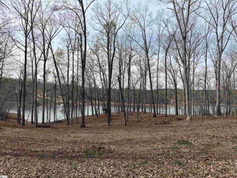 133 Falling Leaf Drive Townville SC 29689