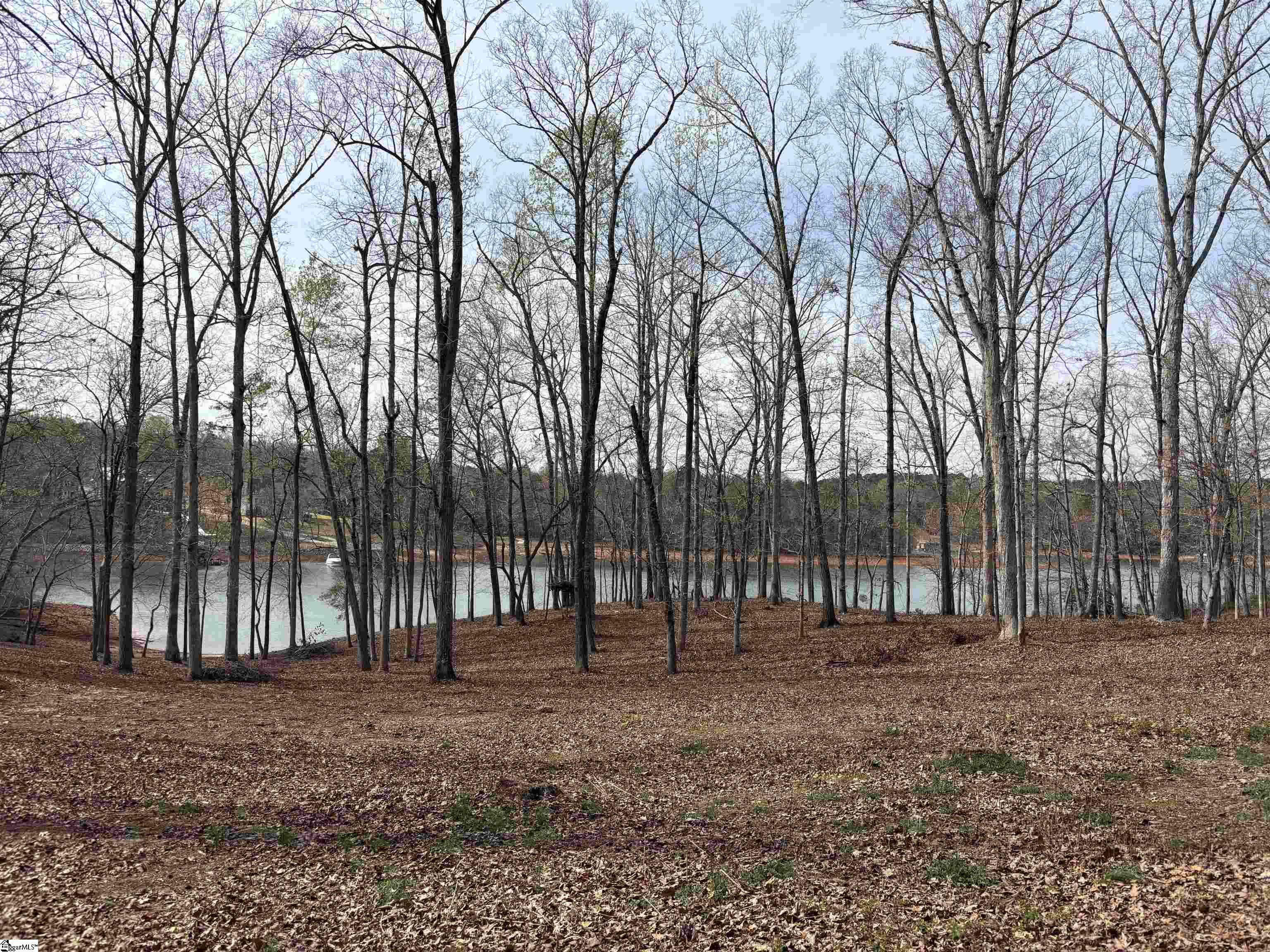 133 Falling Leaf Drive Townville SC 29689