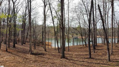 133 Falling Leaf Drive Townville SC 29689