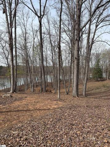 133 Falling Leaf Drive Townville SC 29689