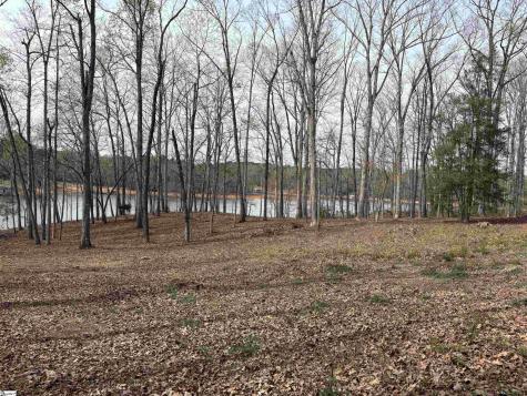 133 Falling Leaf Drive Townville SC 29689