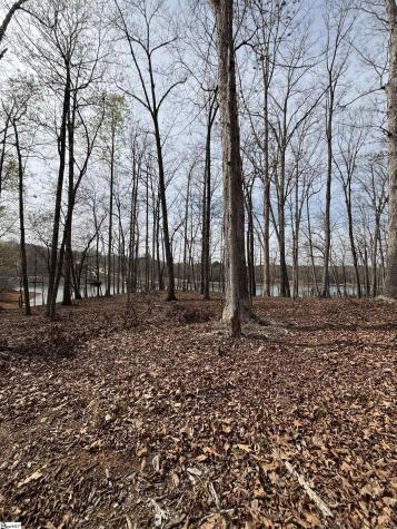 133 Falling Leaf Drive Townville SC 29689