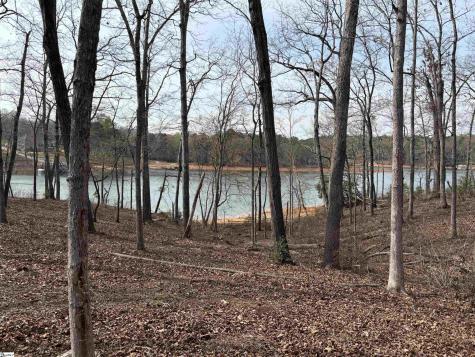 133 Falling Leaf Drive Townville SC 29689