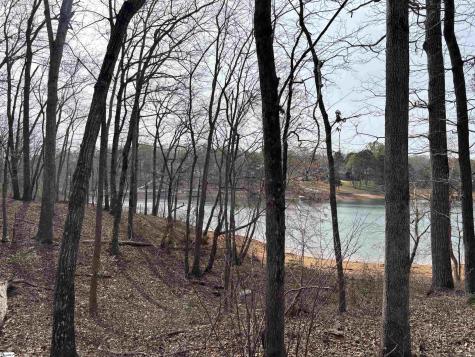 133 Falling Leaf Drive Townville SC 29689