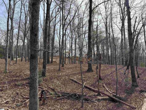 133 Falling Leaf Drive Townville SC 29689