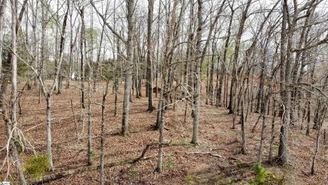 133 Falling Leaf Drive Townville SC 29689