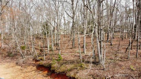 133 Falling Leaf Drive Townville SC 29689