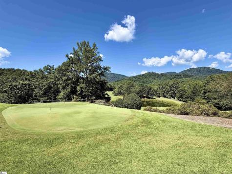 1424 Panther Park Trail Travelers Rest SC 29690