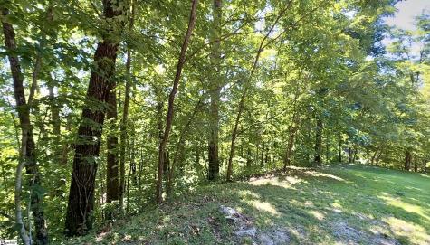 1424 Panther Park Trail Travelers Rest SC 29690