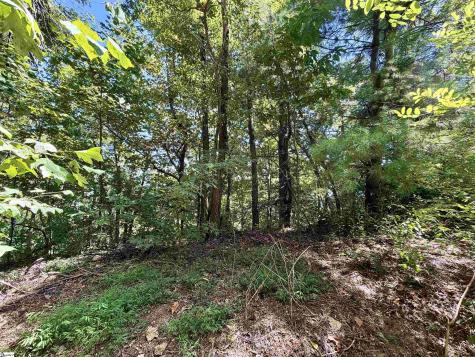 1424 Panther Park Trail Travelers Rest SC 29690