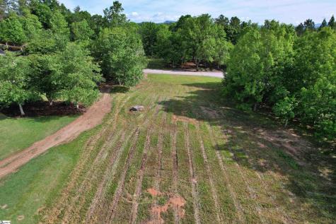 242 Long Cove Court Sunset SC 29685