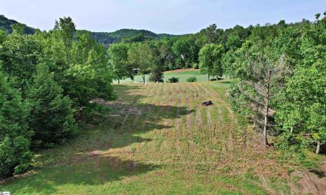 242 Long Cove Court Sunset SC 29685