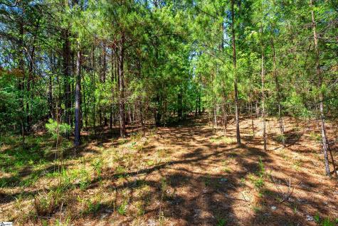 0 Gowdeysville Road Gaffney SC 29340