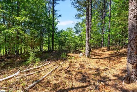 0 Gowdeysville Road Gaffney SC 29340