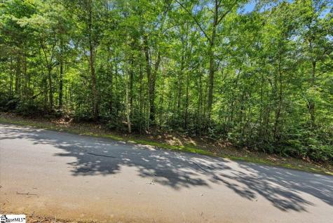 14 Alsace Way Travelers Rest SC 29690