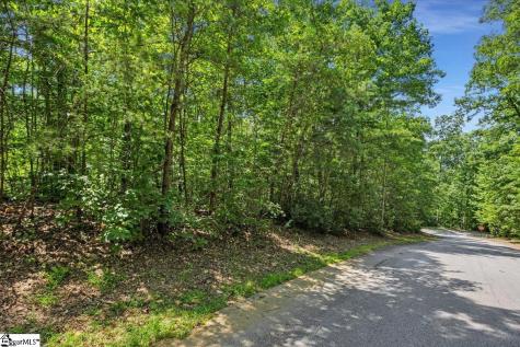 14 Alsace Way Travelers Rest SC 29690