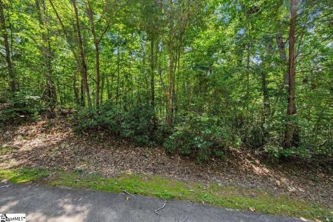 14 Alsace Way Travelers Rest SC 29690