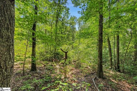 14 Alsace Way Travelers Rest SC 29690